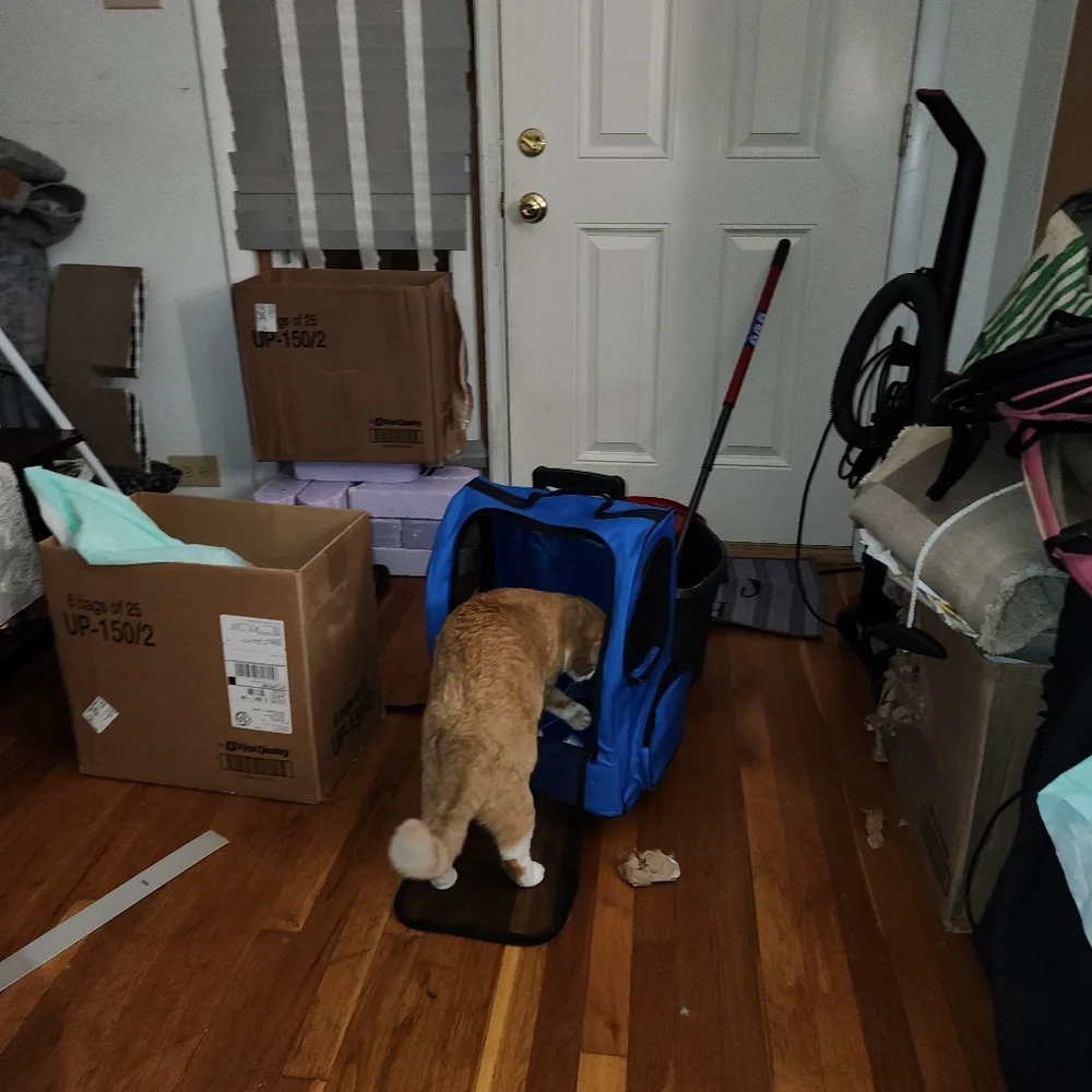 Pet Carrier